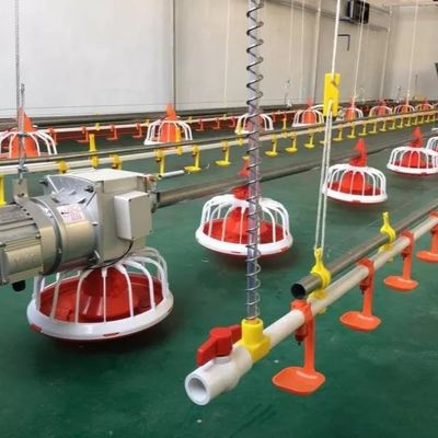 ব্রয়লারের জন্য OEM পোল্ট্রি ফার্মের সরঞ্জাম 30KG স্বয়ংক্রিয় পোল্ট্রি ফিডার