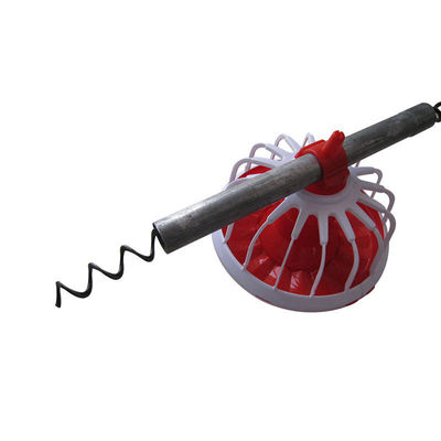 স্বয়ংক্রিয় ফিডিং সিস্টেমে দক্ষিণ আফ্রিকা auger ব্যবহার