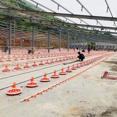 4 প্যান/3m পোল্ট্রি ফার্মের সরঞ্জাম 380v স্বয়ংক্রিয় খাওয়ানোর ব্যবস্থা