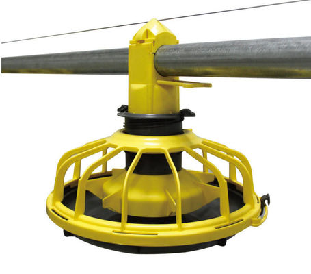 14/16 পার্টিশন পোল্ট্রি ফার্ম সরঞ্জাম প্লাস্টিক চিকেন ফিডার এবং ড্রিংকারস