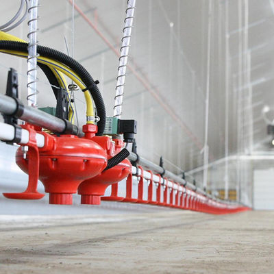 প্লাস্টিক উপাদান পোল্ট্রি ফিডার এবং পানীয় দীর্ঘ সেবা সময়