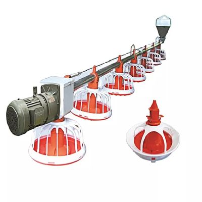 0.75m ট্রে স্পেসিং পোল্ট্রি ফার্মিং মেশিন 16টি কম্পার্টমেন্ট প্রতি প্যান