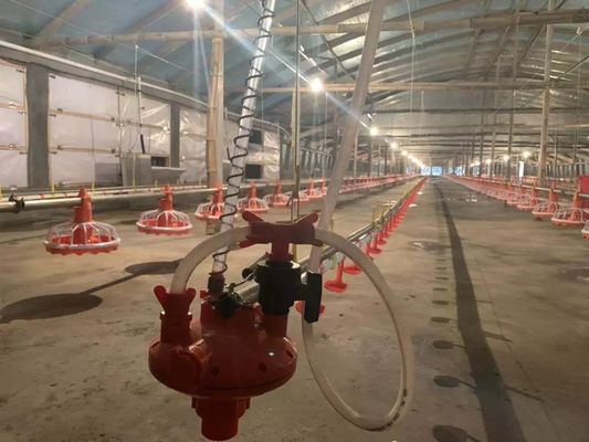 ড্রাইভিং ডিভাইস সহ 4 প্যান/3 মি চিকেন ফিডার সরঞ্জাম 380v 0.75kw